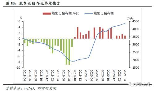 最新独蒜价格，市场趋势、影响因素及未来展望