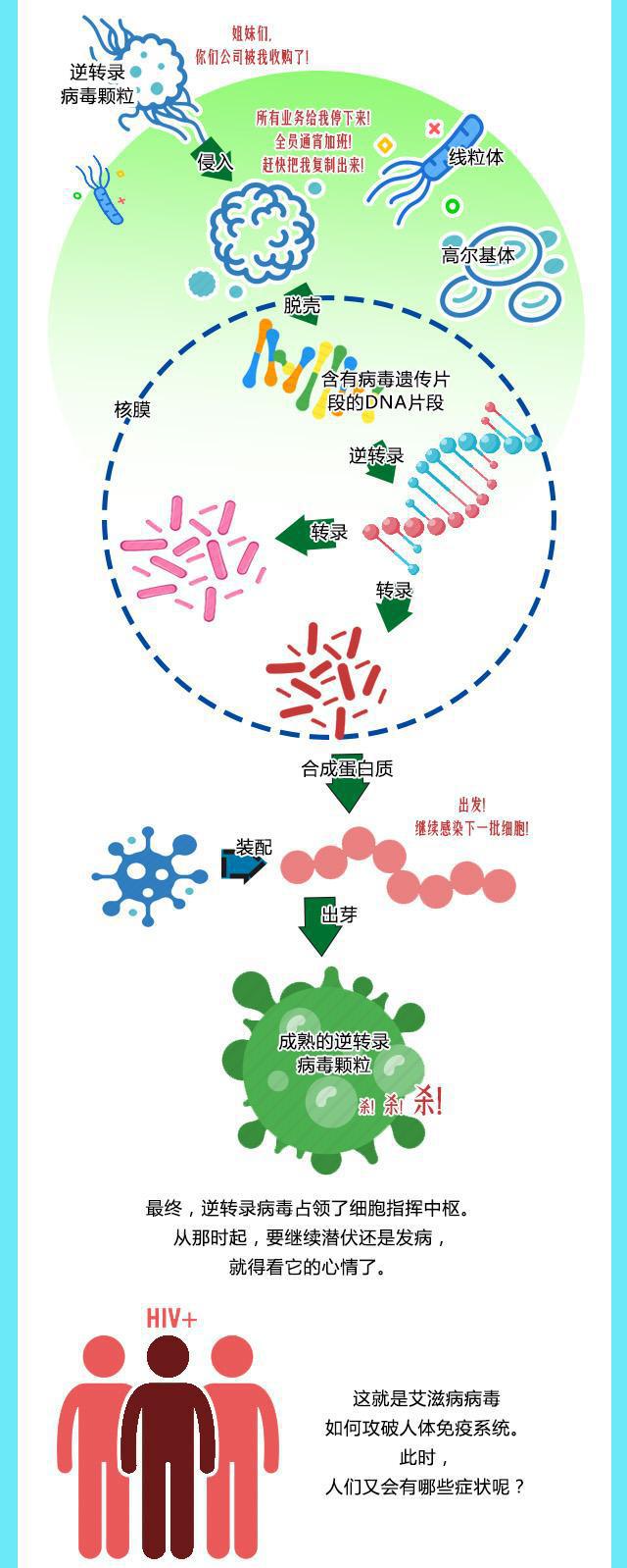 免疫的最新进展，探索生命的守护者