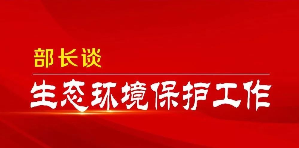 村霸最新名单，揭示乡村治理中的挑战与机遇