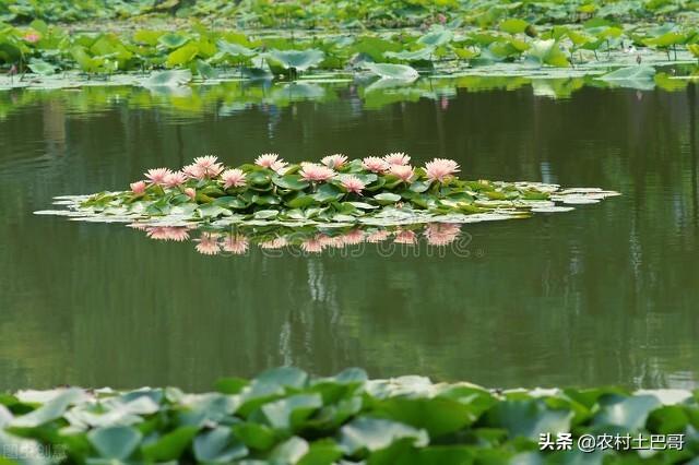 吉林暴雨最新通知，应对极端天气，确保人民安全