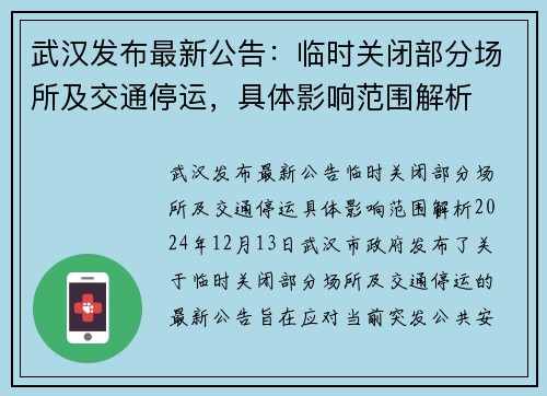 武汉最新禁行政策详解与影响分析