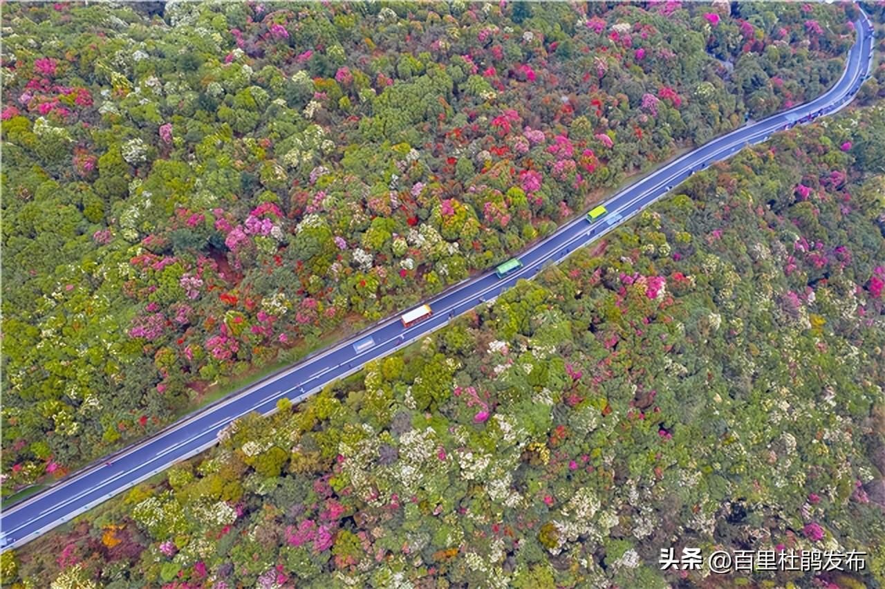 北京最新疫情朝阳，精准防控下的城市复苏