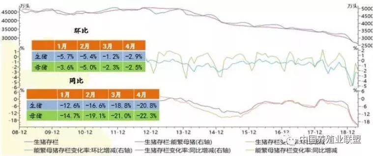 南宁最新猪价，市场波动与影响因素分析