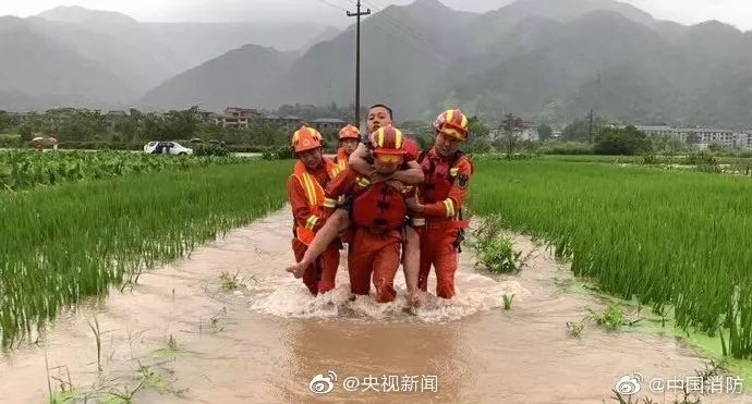 最新台风山东消息，一场风雨中的坚守与希望