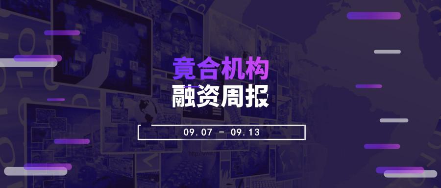 仓仔最新视频，探索创意与技术的无限可能