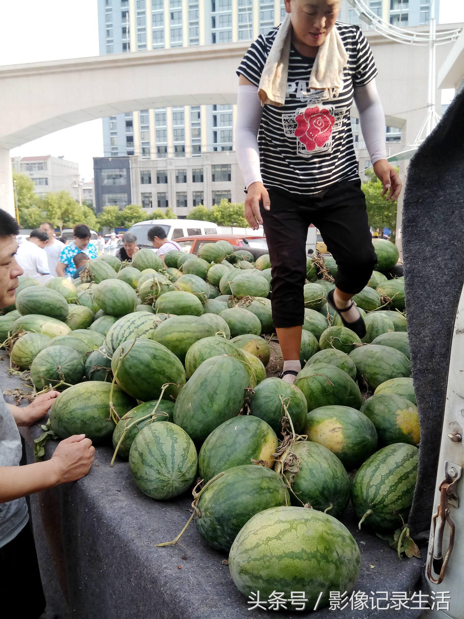 苗大姐美食最新探索，传统与创新的完美融合