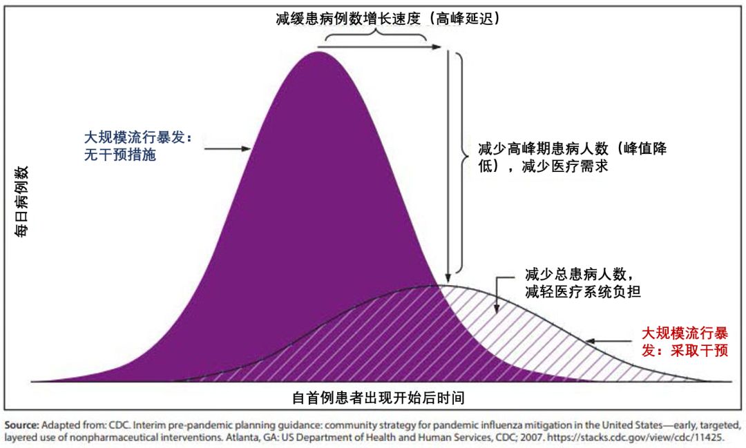 瘟疫情最新动态，全球抗疫进展与挑战