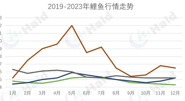 今天鱼最新价格，市场波动与消费趋势分析