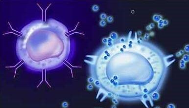 最新细胞融合技术，探索生命科学的新边疆